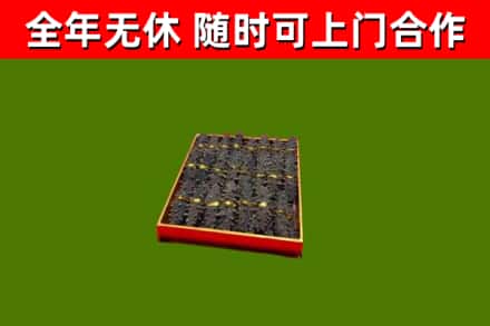 西双版纳州回收海参